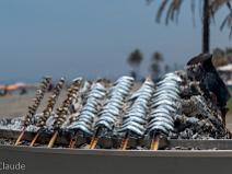 El espeto de sardinas - Malaga Playas del Palo