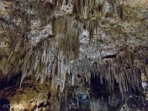 s110_1415 Cueva de Nerja